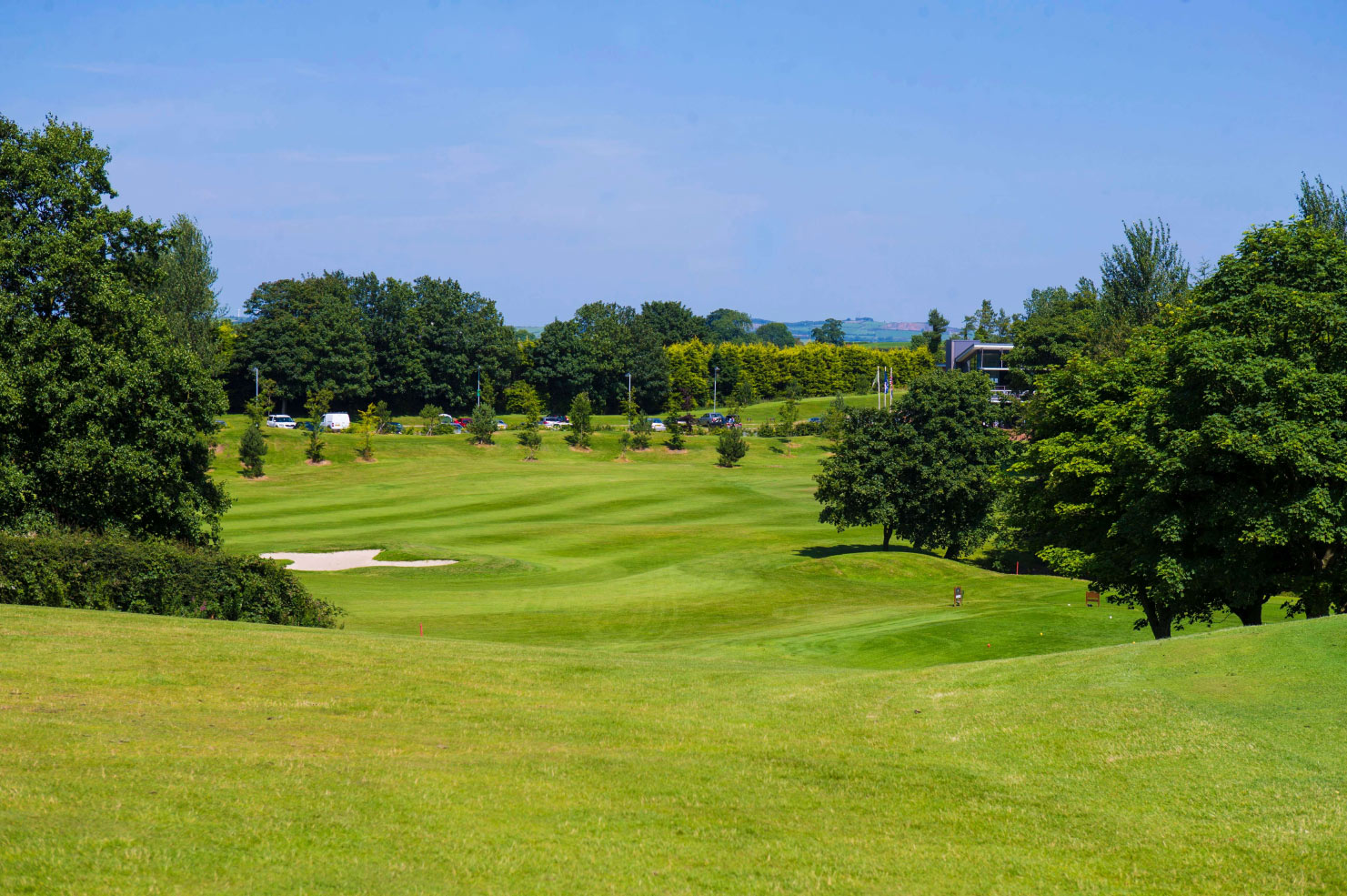 Green trees and part of golfcourse